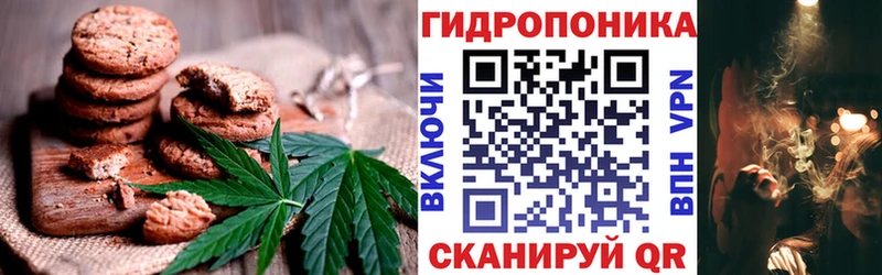 Купить закладки  Пучеж  Cannafood конопля 