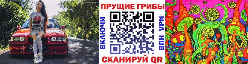 Галлюциногенные грибы мухоморы  Купить  Пучеж 
